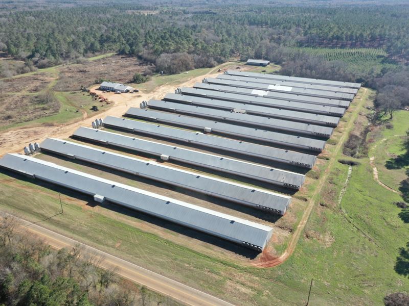 Bragg Broiler Farm : Andersonville : Sumter County : Georgia