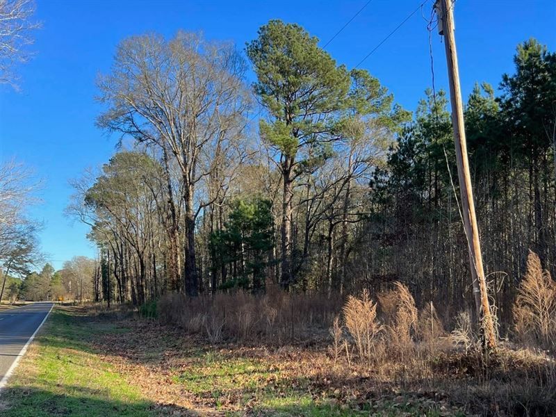 40 Acres Land for Sale Quitman LA : Quitman : Jackson Parish : Louisiana