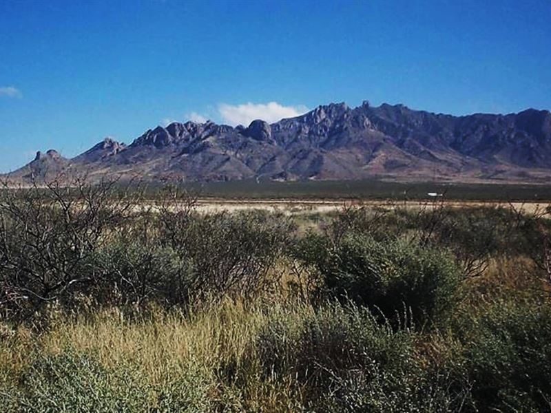 Hit The Jackpot, Own Prime Land : Deming : Luna County : New Mexico