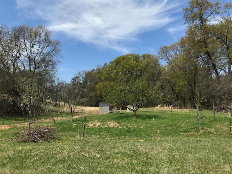 38 Acres with Live Creek : Bennington : Bryan County : Oklahoma