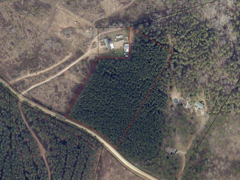 Wooded Acreage : Dewy Rose : Elbert County : Georgia