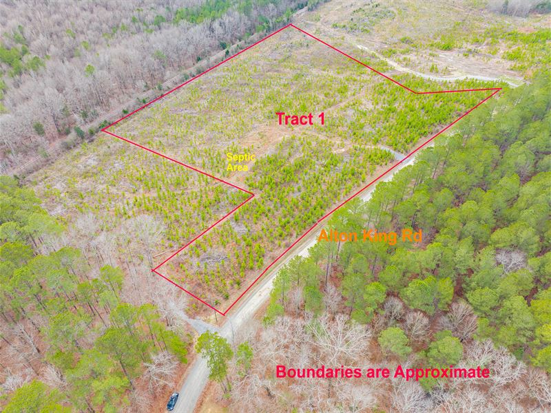 11+ Acre Residential Tract : Goldston : Chatham County : North Carolina