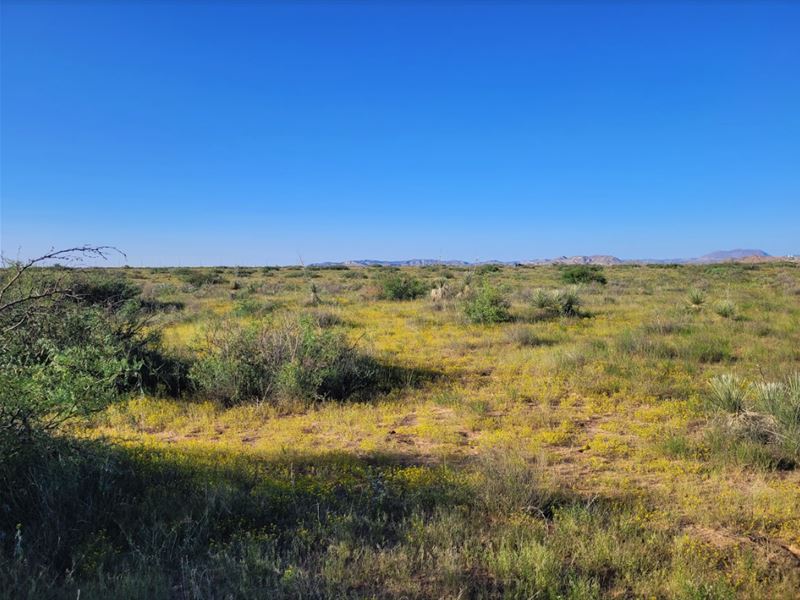 Your Holiday Getaway 0.58 Acres : Agua Dulce : El Paso County : Texas