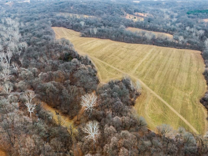 Exquisite Hunting Farm : Hardin : Calhoun County : Illinois
