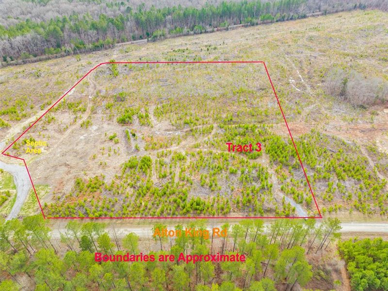 Acreage Tract in New Subdivision : Goldston : Chatham County : North Carolina