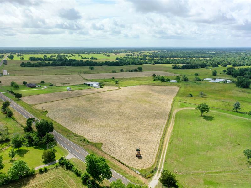 Acreage in Madison County : Madisonville : Madison County : Texas