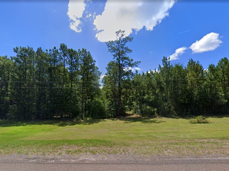 .33 Acre in Woodville, $250/Month : Woodville : Tyler County : Texas