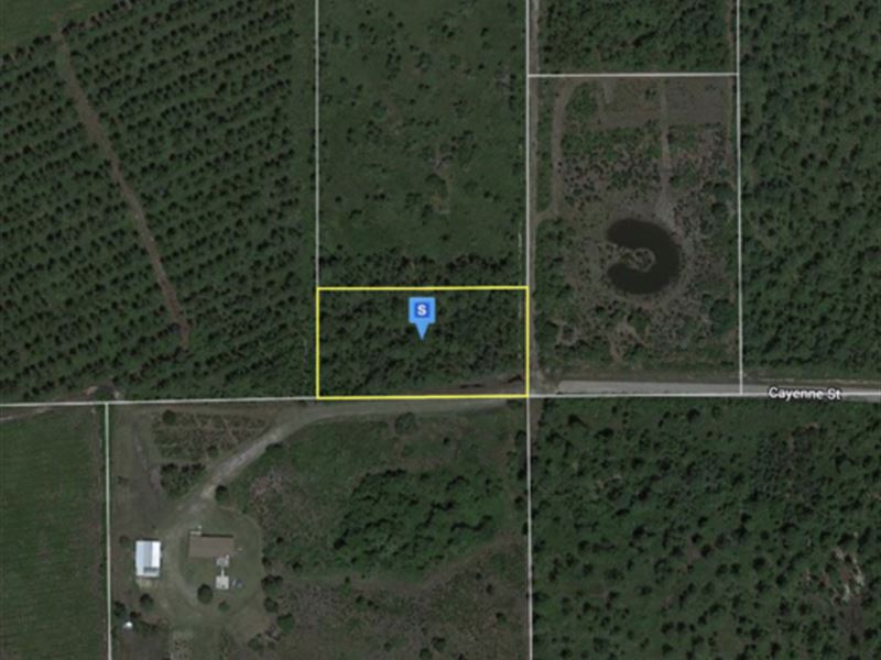 1.29 Acre Vacant Lot : Interlachen : Putnam County : Florida