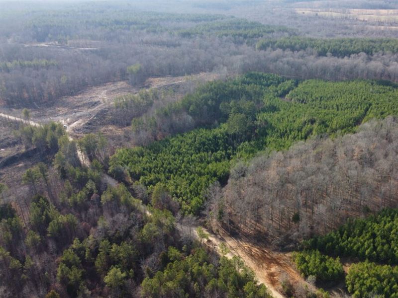 Silverman Tract 2 : Jackson : Henry County : Tennessee