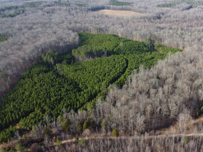 Silverman Tract 1 : Jackson : Henry County : Tennessee