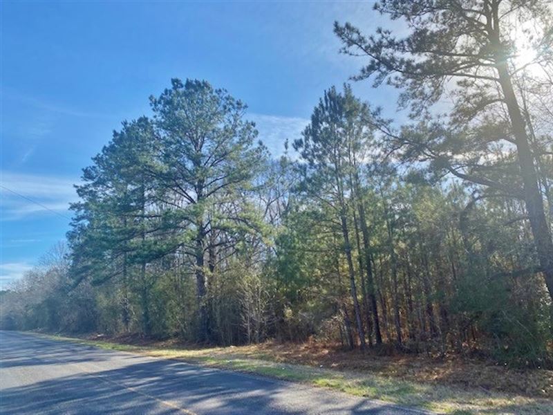 8.65 Wooded Acres in Pike County : McComb : Pike County : Mississippi