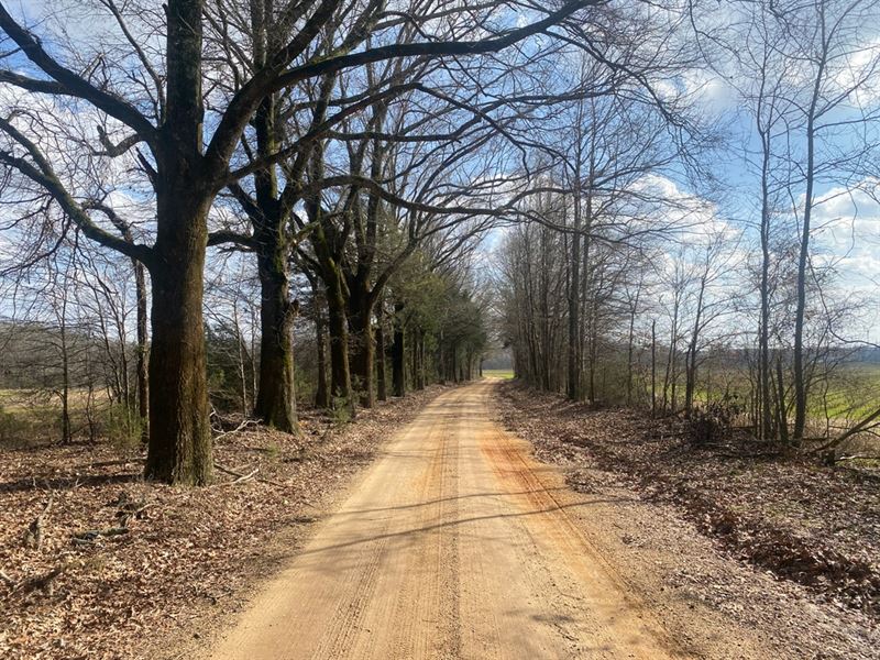 50 Acres in Yazoo County, MS : Vaughan : Yazoo County : Mississippi