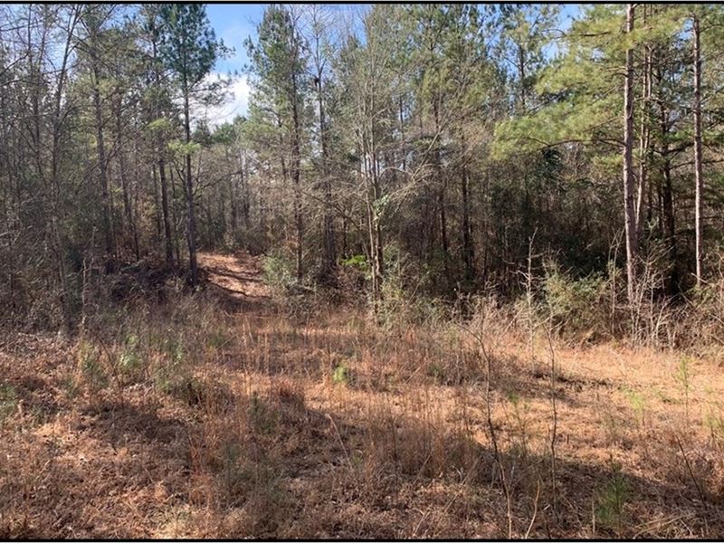 36 Acres in Lawrence County in Mont : Monticello : Lawrence County : Mississippi