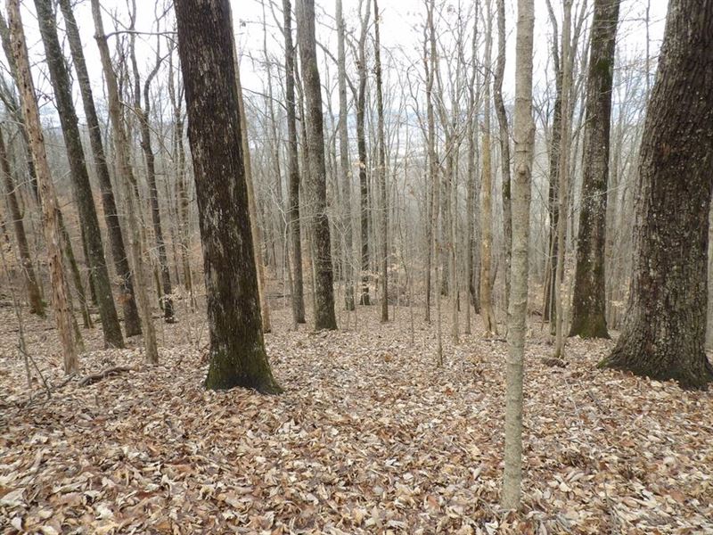 Seasonal Views, Private : Pikeville : Bledsoe County : Tennessee