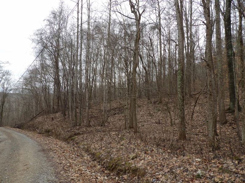 Great Location, Near Town & Private : Pikeville : Bledsoe County : Tennessee