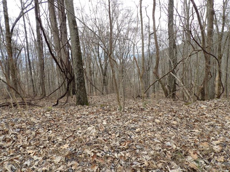 Electric, Internet, Telephone Avail : Pikeville : Bledsoe County : Tennessee