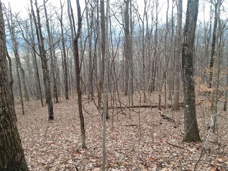 Level Spots for Building, Private : Pikeville : Bledsoe County : Tennessee