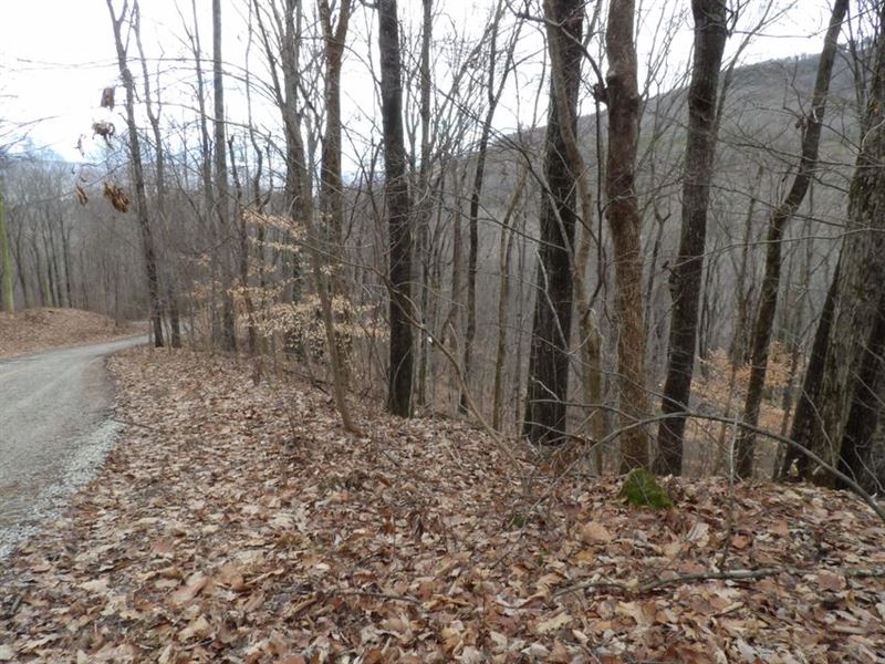 Rock Formations, Seasonal Views : Pikeville : Bledsoe County : Tennessee