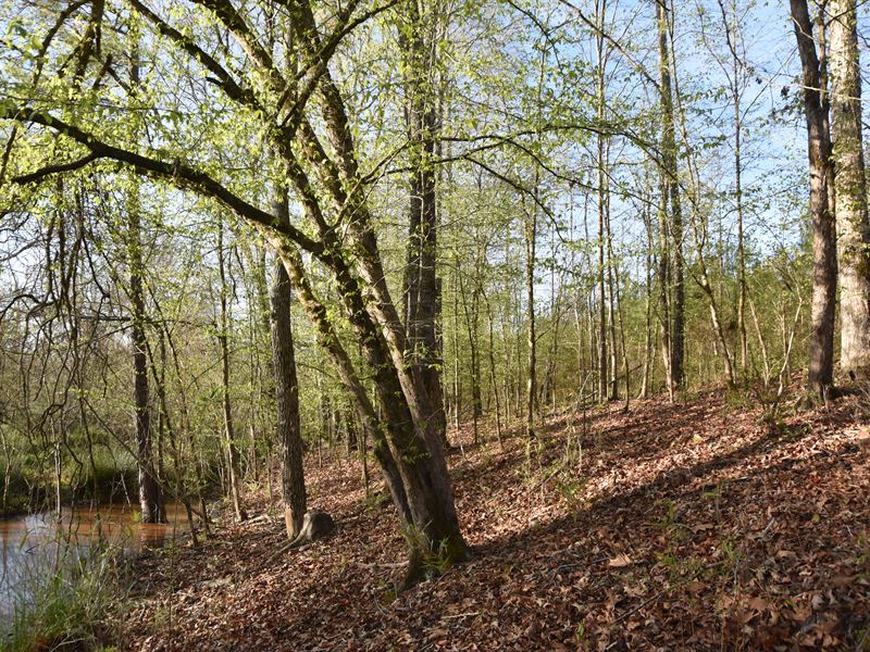 Hunter's Hole Harris County : Waverly Hall : Harris County : Georgia