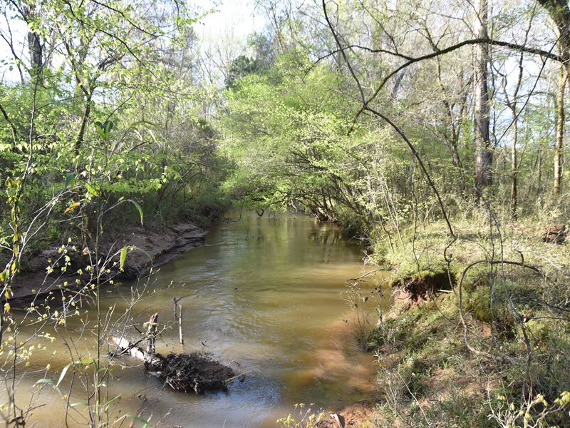 Prime Harris County Investment : Waverly : Harris County : Georgia