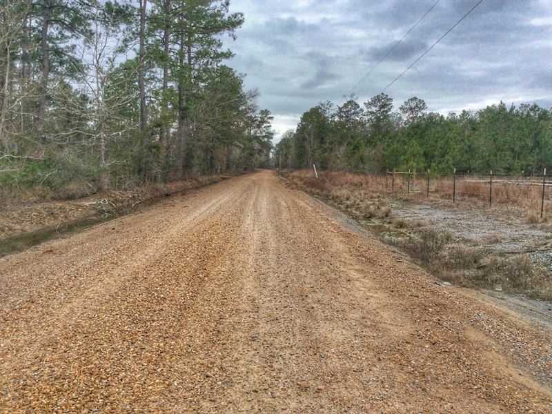 Adams Road Tract, Jefferson Davis : Gillis : Jefferson Davis Parish : Louisiana