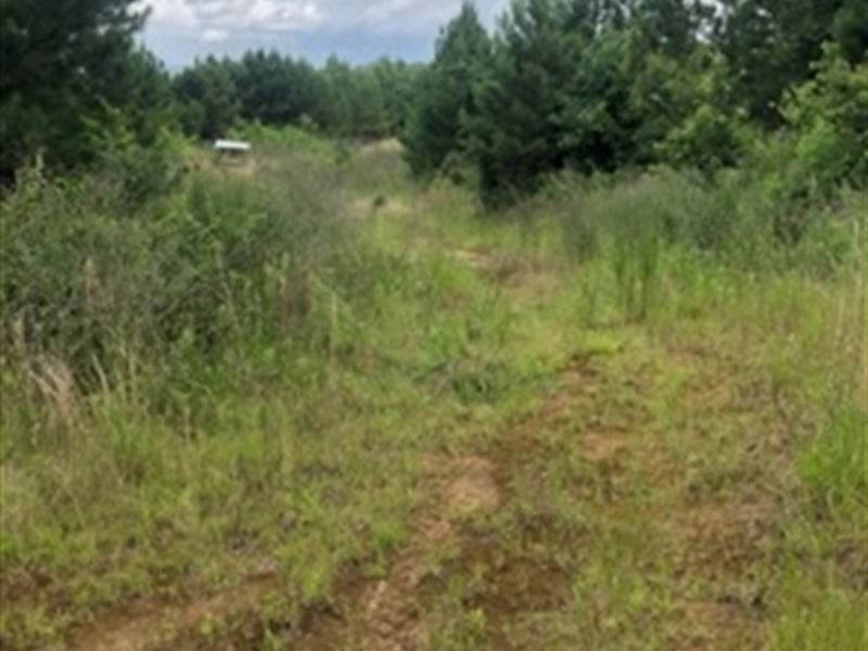 Insemore, Claiborne County, MS : Hermanville : Claiborne County : Mississippi