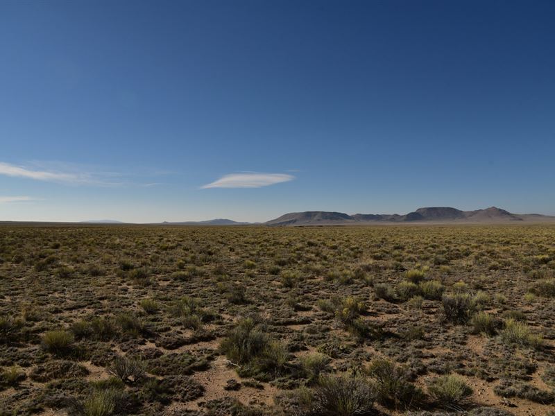 Owner Financed Land in Colorado : Blanca : Costilla County : Colorado