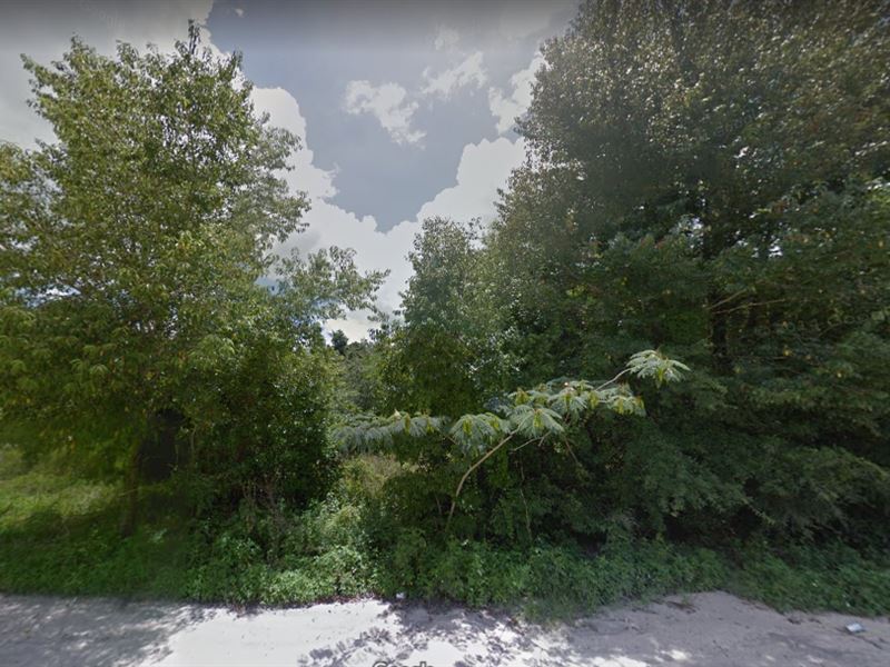 Owner Financed Land in Florida : Fort McCoy : Marion County : Florida