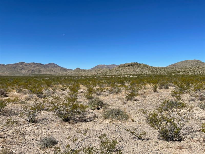 Cash Sale in Texas : Sierra Blanca : Hudspeth County : Texas