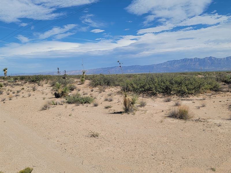 Owner Financed Land in Texas : Dell City : Hudspeth County : Texas