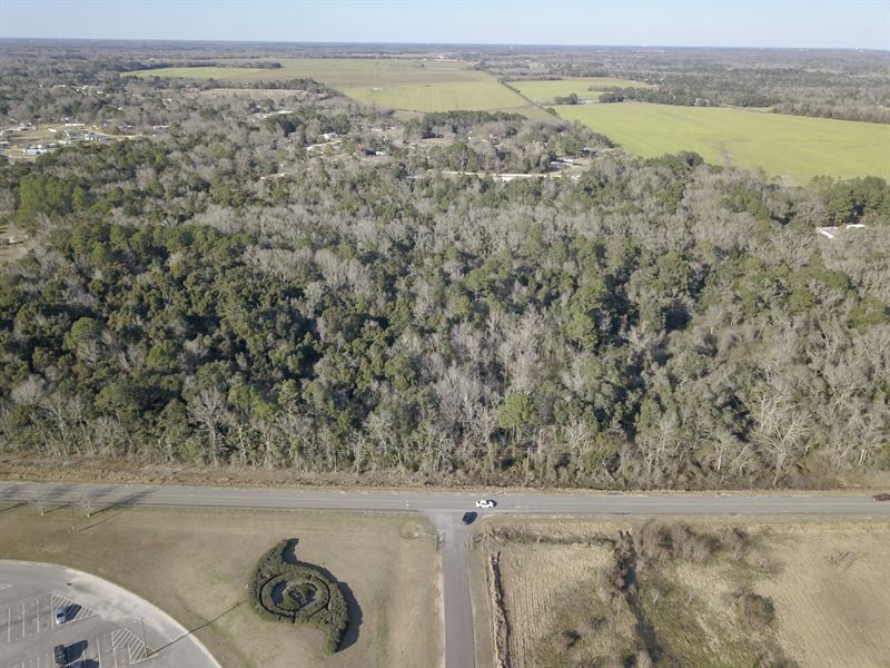 20 Ac Mobile County : Irvington : Mobile County : Alabama