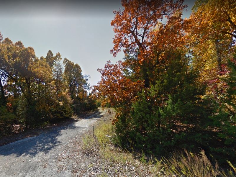 .35 Ac in Izard County, AR $100/Mo : Horseshoe Bend : Izard County : Arkansas