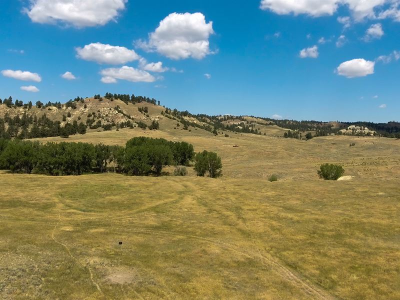 Bitter Creek Hunting Property : Recluse : Campbell County : Wyoming
