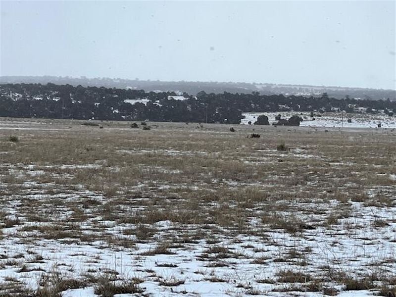 Turkey Ridge Ranch 123D, Walsenburg : Walsenburg : Huerfano County : Colorado