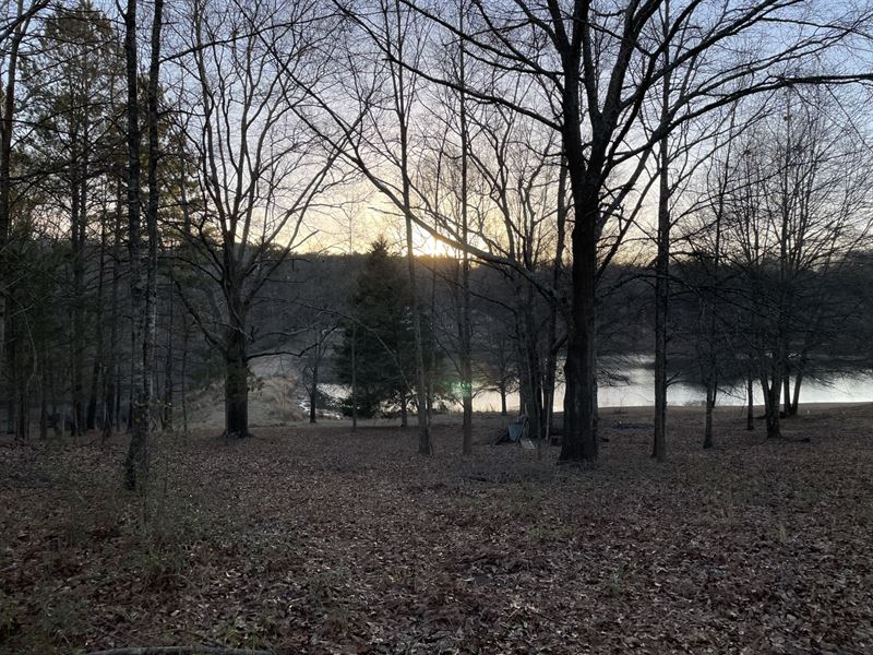 Bradbury Lake, Fayette County : Fayetteville : Fayette County : Georgia