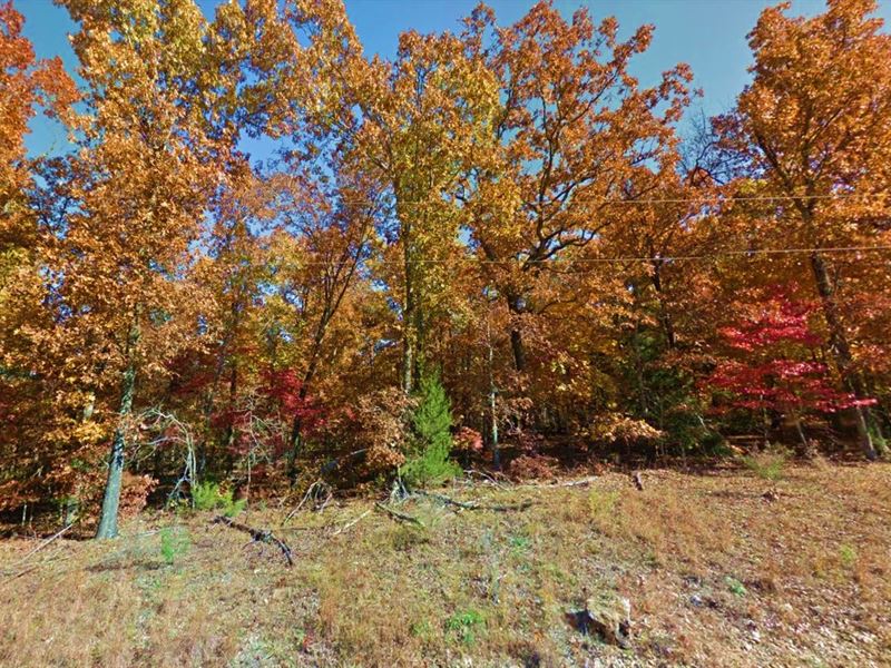 Live Lakeside on 0.40 Acres Today : Horseshoe Bend : Izard County : Arkansas