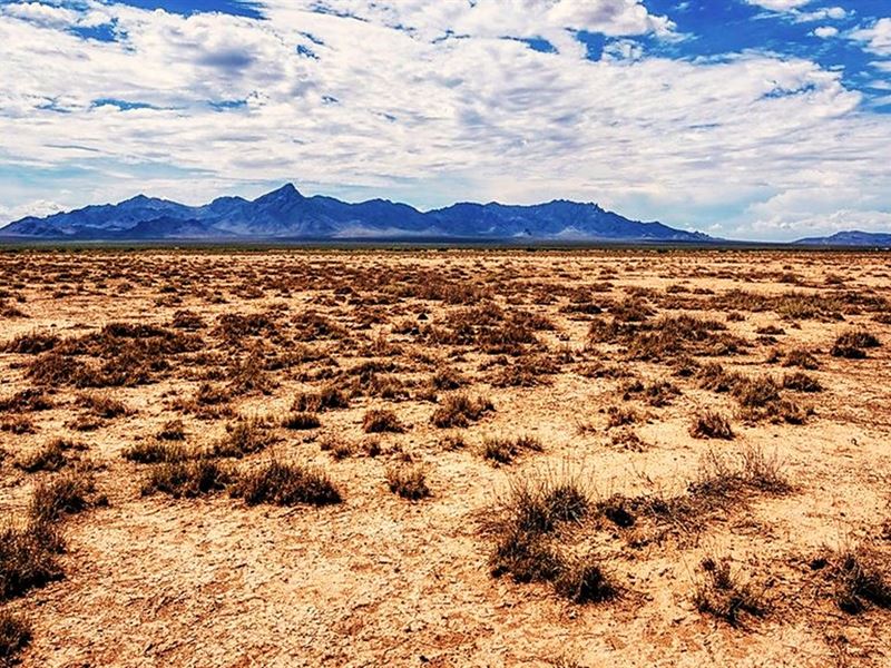 Nature's Paradise, Own Today : Deming : Luna County : New Mexico