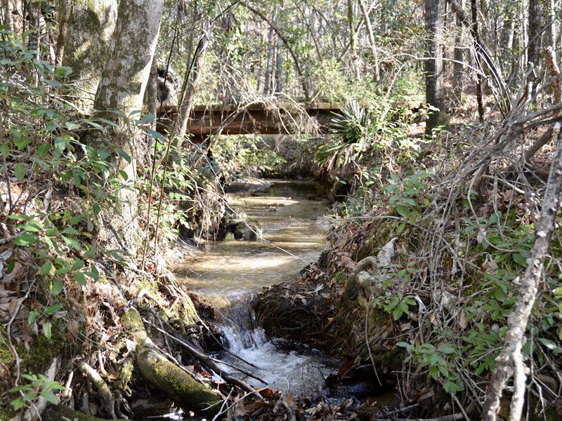 Clear Creeks Farm : Chattahoochee : Gadsden County : Florida