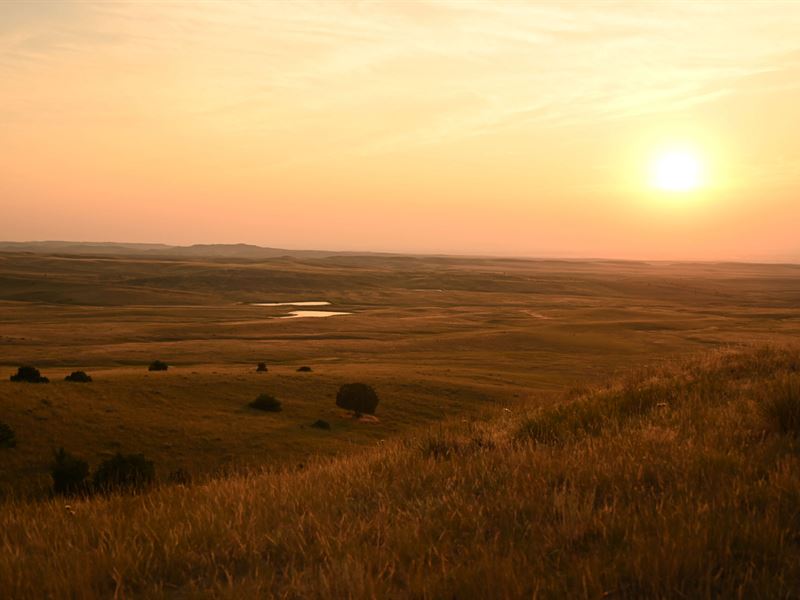 Valley View Ranch : Ballantine : Yellowstone County : Montana