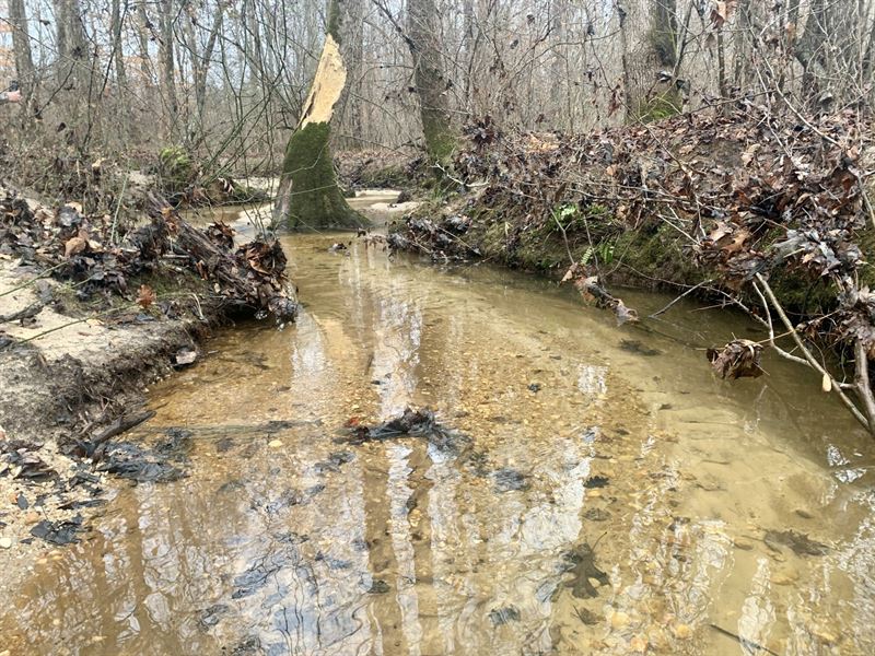 185 Ac Bremen, GA : Bremen : Haralson County : Georgia