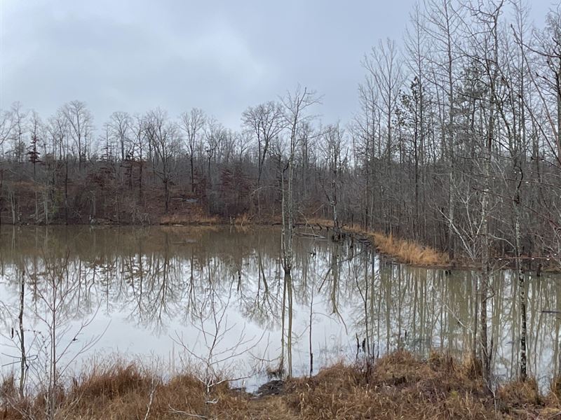 91 Acres, Pond, Temple, GA : Temple : Haralson County : Georgia