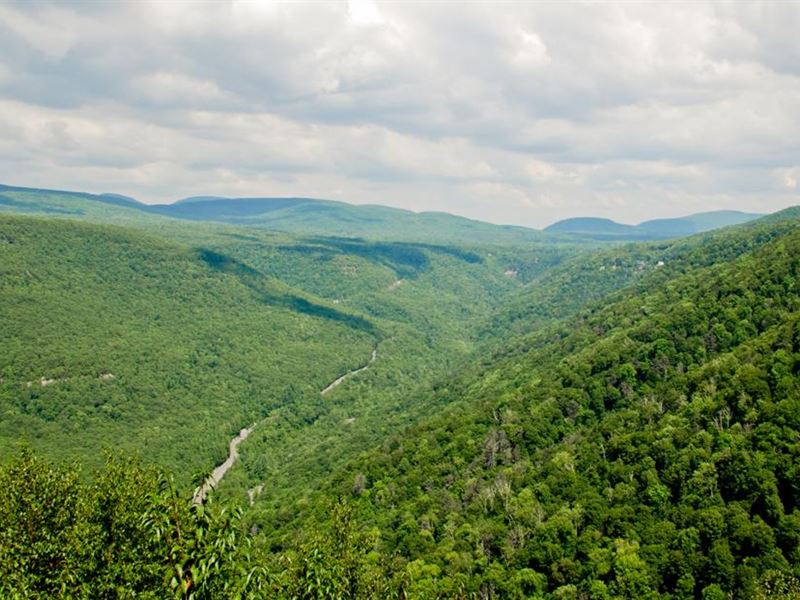 1589K Sqft in Saugerties, NY : Saugerties : Ulster County : New York