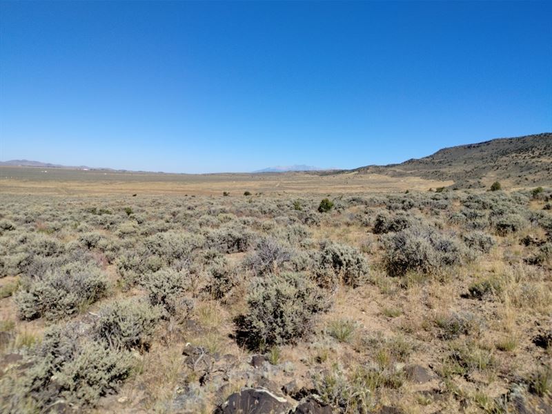 Perfect Camping Spot with Views : San Luis : Costilla County : Colorado