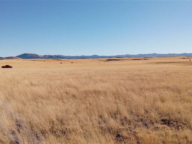 Attend The Navajo County Fair : Concho : Apache County : Arizona