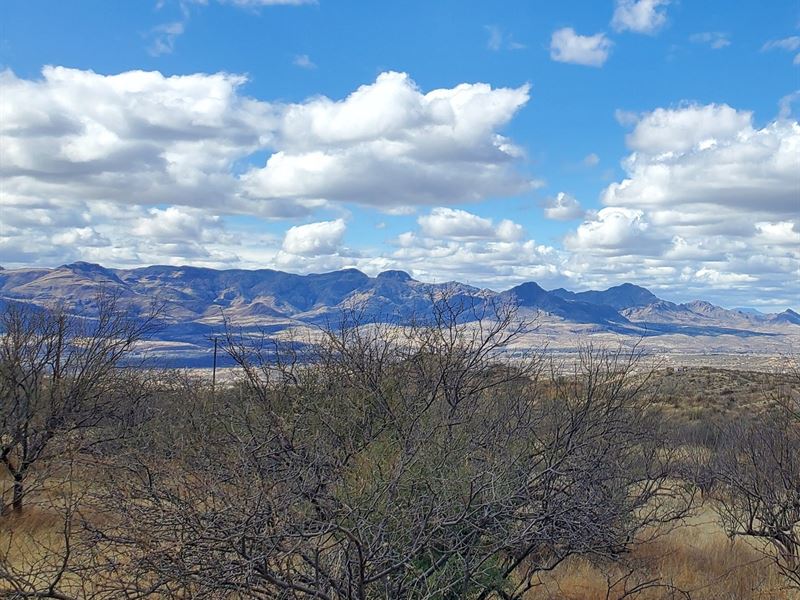 4 Custom Lots in Rio Rico : Rio Rico : Santa Cruz County : Arizona
