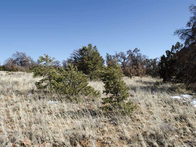NO Restrictions on 5 Acres in NM : Ramah : Cibola County : New Mexico