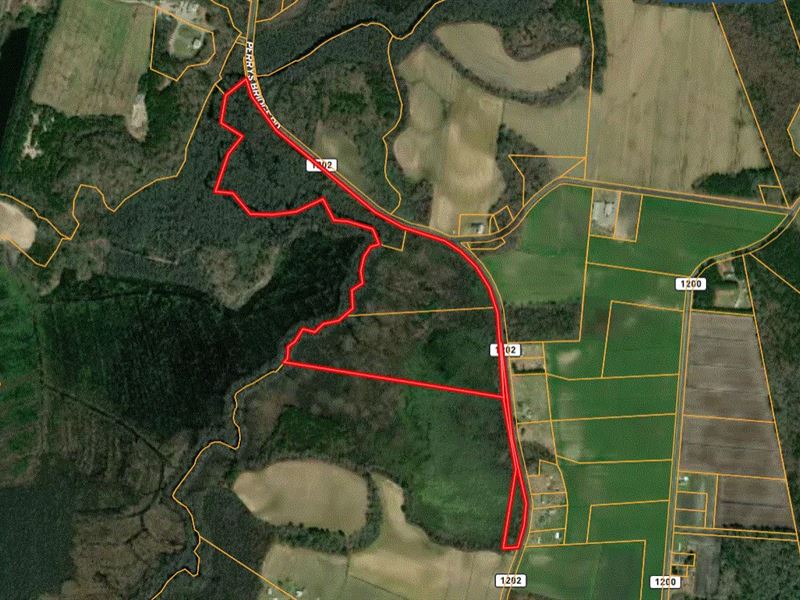 62.12 Ac in Perquimans County, NC : Belvidere : Perquimans County : North Carolina