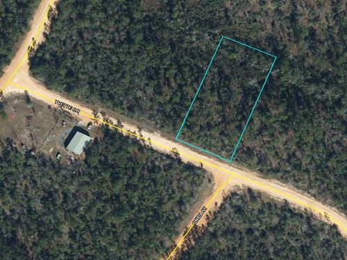 Equestrian Friendly Lake Community : Alford : Jackson County : Florida