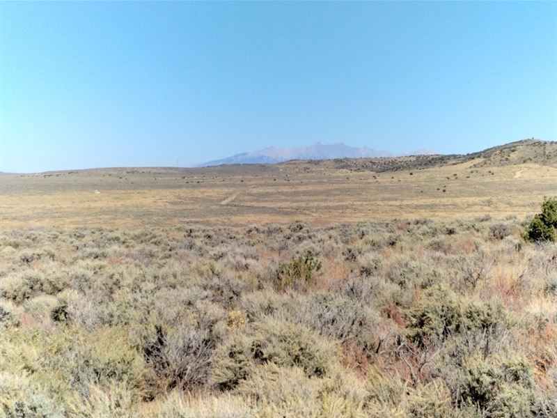 Stunning Mountain Views : San Luis : Costilla County : Colorado