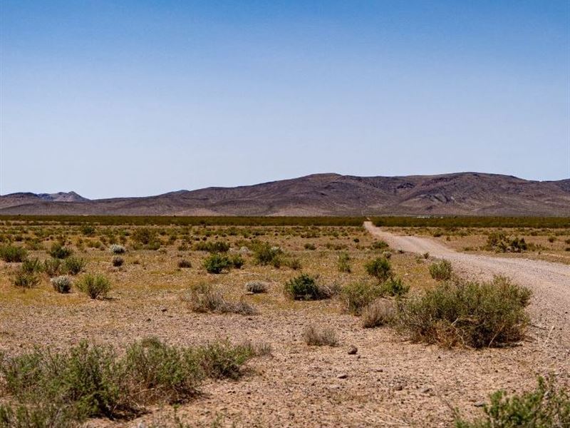 Experience The Love, 1.25 AC in AZ : Kingman : Mohave County : Arizona